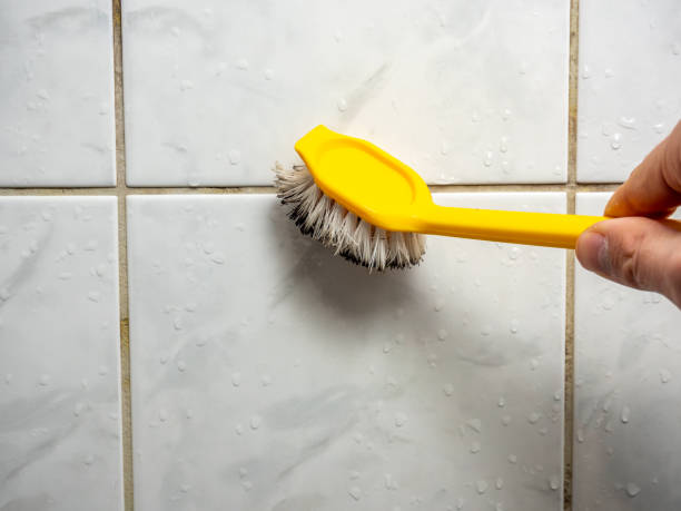 Best Basement Mold Remediation in Snyder, TX