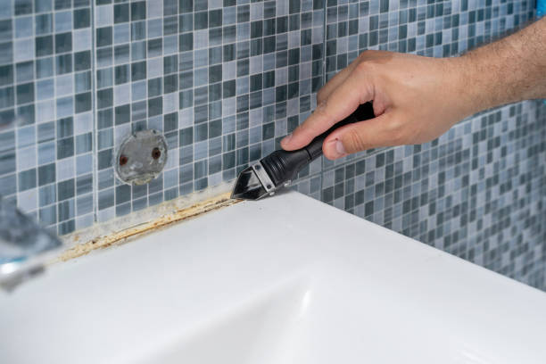 Best Insurance-Related Mold Remediation in Snyder, TX
